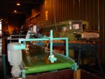 [DSC03074.JPG]