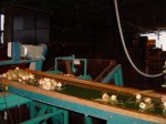 [DSC03075.JPG]