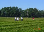 [DSC02529.JPG]