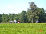 [DSC02531.JPG]