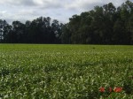 [DSC04782.JPG]