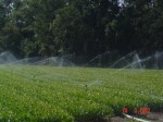 [DSC04790.JPG]