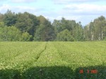 [DSC04814.JPG]