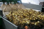 [IMG_0314.jpg]