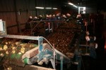 [IMG_0339.jpg]