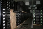 [IMG_0348.jpg]