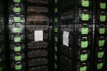 [IMG_0353.jpg]