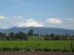 [IMG_2341.JPG]