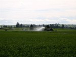 [IMG_2351.JPG]