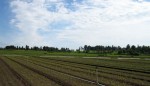 [IMG_2353.JPG]