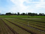 [IMG_2355.JPG]