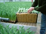 [2004_0225Image0008.JPG]