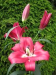 [IMG_3270.JPG]