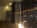 [storage3.jpg]