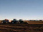 [1_harvest2006a.JPG]
