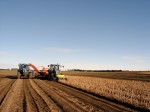 [1_harvest2006c.JPG]